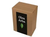 Olea Arba 6x0,50 