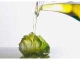 Primjena maslinovog ulja u kulinarstvu